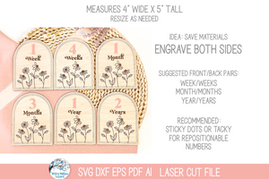 Newborn Baby Girl Flower Arch Milestone Bundle - SVG File for Laser Cutter