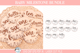 Baby Girl Monthly Milestone Disc Bundle - Wildflower SVG File for Laser Cutter Wispy Willow Designs Company