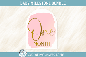 Baby Milestone SVG Bundle | Growth Tracker Designs Wispy Willow Designs Company