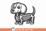 Dachshund Dog Skeleton SVG | Halloween Pet Animal PNG Wispy Willow Designs Company