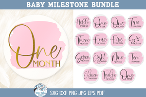 Milestone SVG Bundle | Baby Milestones Design Wispy Willow Designs Company